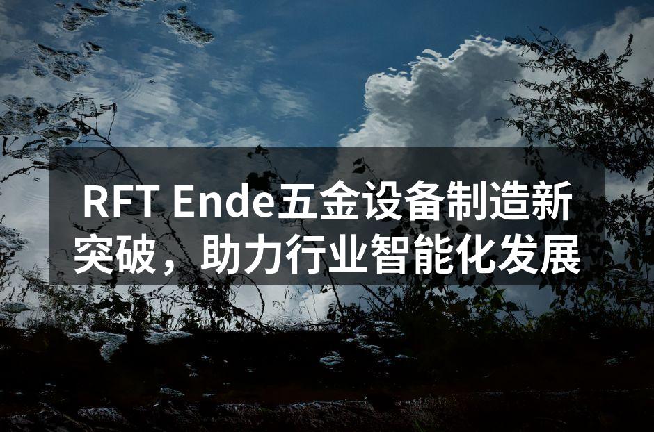 RFT Ende智能化生产线现场